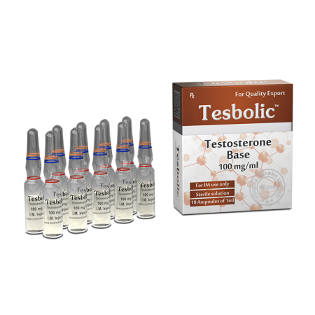 Testosteron Base